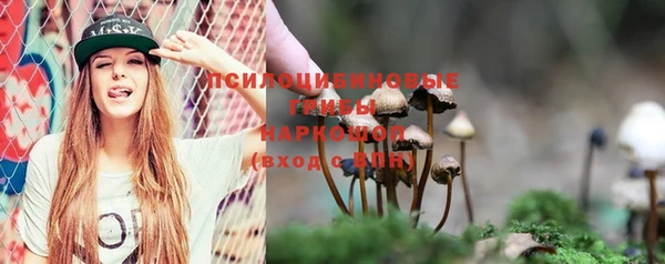 ГАЛЛЮЦИНОГЕННЫЕ ГРИБЫ Бугульма