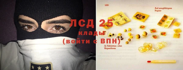 ГАЛЛЮЦИНОГЕННЫЕ ГРИБЫ Бугульма