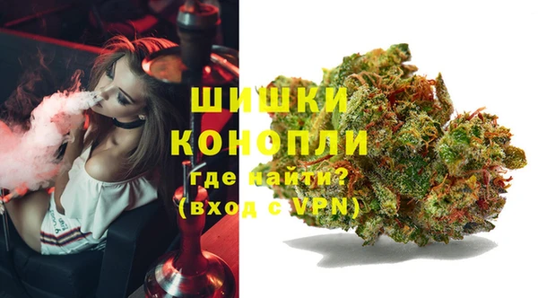 ГАЛЛЮЦИНОГЕННЫЕ ГРИБЫ Бугульма
