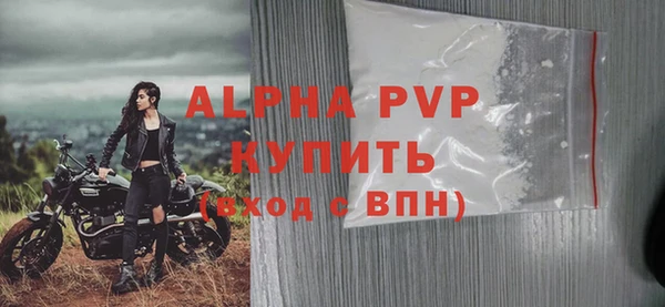 спиды Богородск