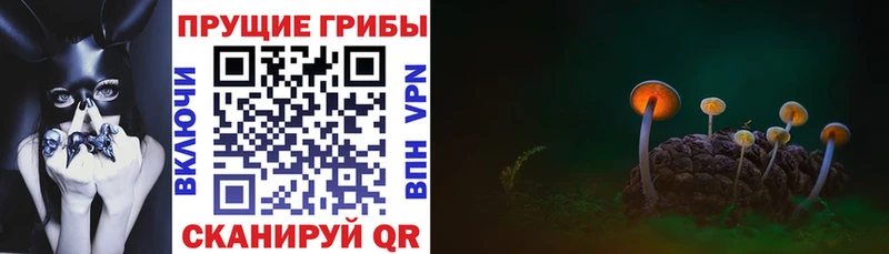 Галлюциногенные грибы прущие грибы  Купить  Вязьма 